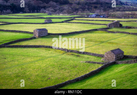 Près de Gunnerside Feilds dans le Nord du Yorkshire. Banque D'Images