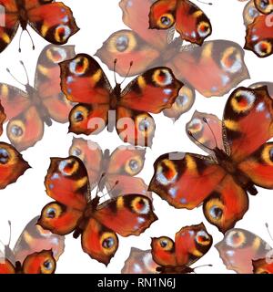 Modèle transparent avec papillons Banque D'Images