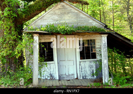 Abandonné aux éléments, cette vieille maison est rapidement rattrapé par la forêt il habite en. Porche couvert de vignes et d'glassless toit windows sont ope Banque D'Images