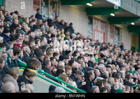 Easter Road, Edinburgh, UK. 16 février 2019. Le football. Ladbrokes Premiership league entre luminaire et Hibernian Hamilton ; Hibs fans Crédit : Scottish Borders Media/Alamy Live News Editorial uniquement, licence requise pour un usage commercial. Aucune utilisation de pari, de jeux ou d'un seul club/ligue/dvd publications.' Banque D'Images