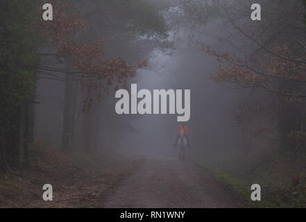 Trinity Hill, l'est du Devon, Royaume-Uni. 16 février 2019. Météo France : un épais brouillard enveloppe le bois à l'est du Devon beauty spot, Trinity Hill. Une femme dans un manteau lumineux rides le long de l'allée cavalière en fogPQ épais/Alamy Live News Banque D'Images