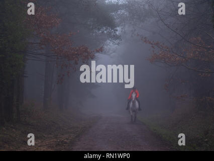 Trinity Hill, l'est du Devon, Royaume-Uni. 16 février 2019. Météo France : un épais brouillard enveloppe le bois à l'est du Devon beauty spot, Trinity Hill. Une femme dans un manteau lumineux rides le long de l'allée cavalière en fogPQ épais/Alamy Live News Banque D'Images