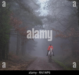 Trinity Hill, l'est du Devon, Royaume-Uni. 16 février 2019. Météo France : un épais brouillard enveloppe le bois à l'est du Devon beauty spot, Trinity Hill. Une femme dans un manteau lumineux rides le long de l'allée cavalière en fogPQ épais/Alamy Live News Banque D'Images