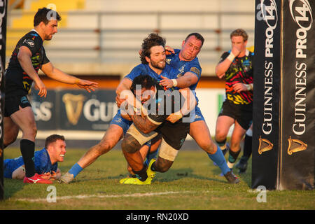 Viadana, Italie. 16 Février, 2019. Le zèbre n8 Jimmy Tuivaiti essaie de marquer lors du match contre le Leinster en PRO14 2018 Guinness 2019©Massimiliano Carnabuci/Alamy live news Banque D'Images