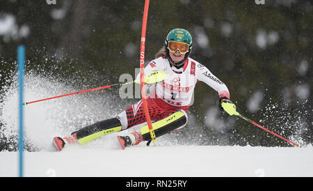 Sont, en Suède. 16 Février, 2019. Ski alpin, slalom, championnat du monde, mesdames : Katharina Liensberger d'Autriche lors de la première manche sur la piste. Crédit : Michael Kappeler/dpa/Alamy Live News Banque D'Images