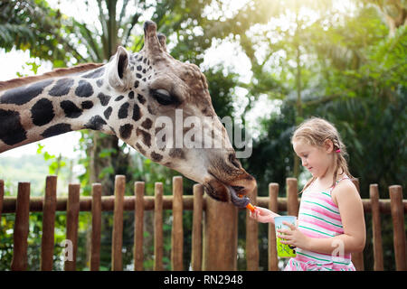 L'alimentation de la famille girafe zoo. Les enfants se nourrissent les girafes dans le parc safari tropicales pendant les vacances d'été. Enfants regarder les animaux. Petite fille donnant à fruits Banque D'Images