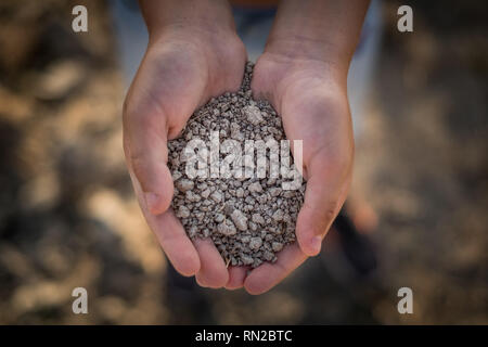 PASTINA, Pise, Italie - 10 août 2018 : mains montrent le sol pour la production de vin dans la vallée entre l'ancien village de la province de Pi Banque D'Images