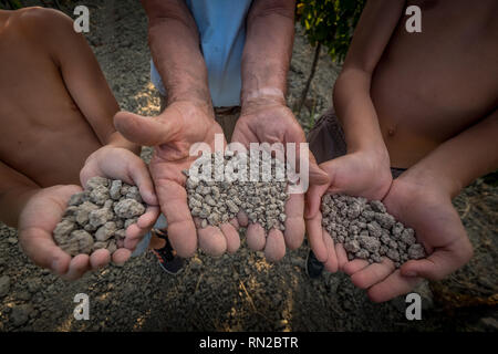 PASTINA, Pise, Italie - 10 août 2018 : mains montrent le sol pour la production de vin dans la vallée entre l'ancien village de la province de Pi Banque D'Images