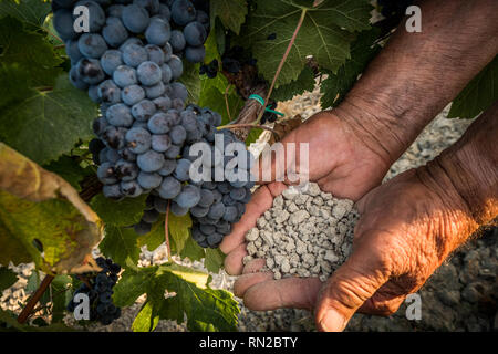 PASTINA, Pise, Italie - 10 août 2018 : mains montrent le sol pour la production de vin dans la vallée entre l'ancien village de la province de Pi Banque D'Images