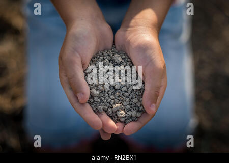 PASTINA, Pise, Italie - 10 août 2018 : mains montrent le sol pour la production de vin dans la vallée entre l'ancien village de la province de Pi Banque D'Images