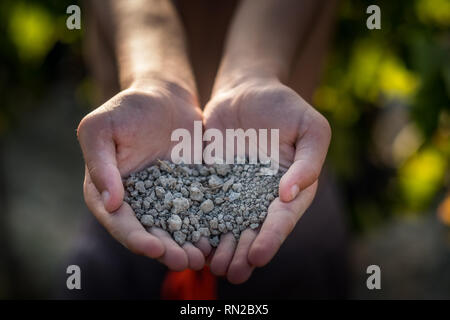 PASTINA, Pise, Italie - 10 août 2018 : mains montrent le sol pour la production de vin dans la vallée entre l'ancien village de la province de Pi Banque D'Images