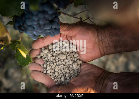 PASTINA, Pise, Italie - 10 août 2018 : mains montrent le sol pour la production de vin dans la vallée entre l'ancien village de la province de Pi Banque D'Images