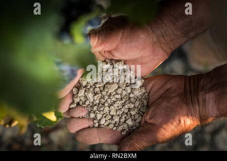 PASTINA, Pise, Italie - 10 août 2018 : mains montrent le sol pour la production de vin dans la vallée entre l'ancien village de la province de Pi Banque D'Images