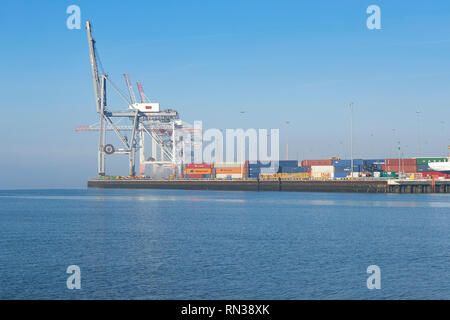 Brouillard de mer plus de portiques de levage (grues), dans le terminal à conteneurs de Southampton, Hampshire, Royaume-Uni. Banque D'Images