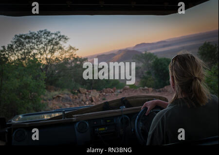 Une femme guide safari durs un véhicule ouvert sur un jeu dur au coucher du soleil à Madikwe Game Reserve, Province du Nord-Ouest, Afrique du Sud Banque D'Images