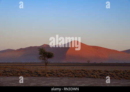 Dunes de sable au lever du soleil autour de la Dune 45, près de Sossusvlei, Namibie Banque D'Images