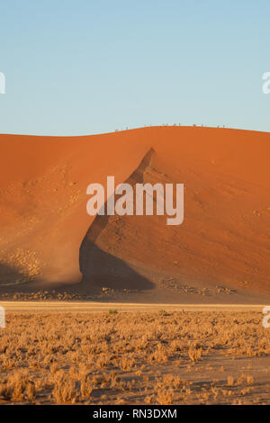 Dunes de sable au lever du soleil autour de la Dune 45, près de Sossusvlei, Namibie Banque D'Images