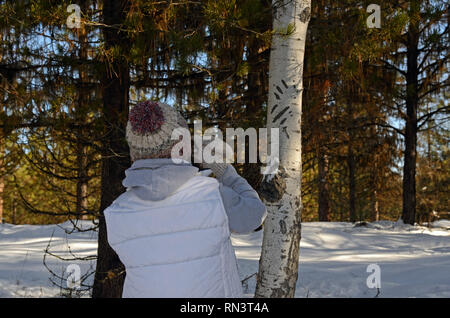 Prendre une photo d'un ours-griffé tremble pendant une classe de suivi des animaux en hiver. Près de Libby au Montana. Banque D'Images