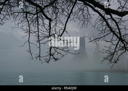 Silhouette de ville buildingsr avec les branches d'arbres en premier plan avec le brouillard Banque D'Images