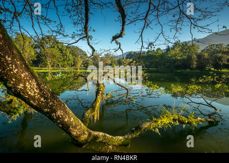 Patrimoine Taiping Lake Garden Banque D'Images