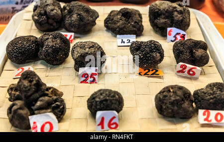 Sélection de truffes noires Tuber melanosporum avec étiquettes de prix sur l'affichage à une échoppe de marché à Vintimille, Ombrie Italie Banque D'Images