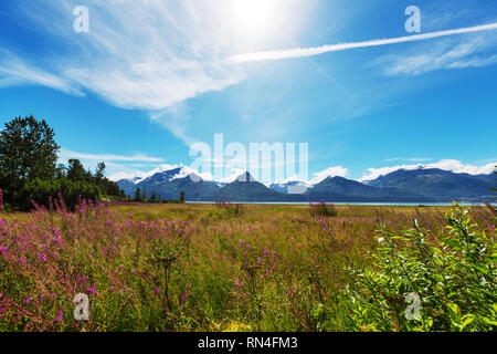 Paysages d'été inhabituelle de l'Alaska, United States. Banque D'Images