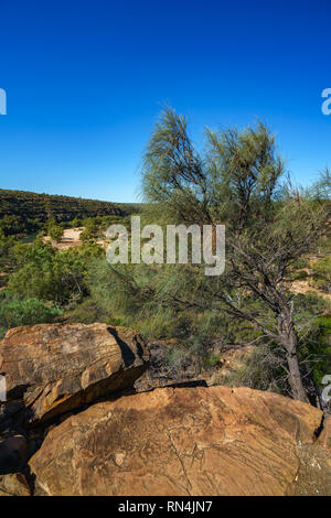 Murchison river de Ross Graham Lookout dans le parc national de kalbarri lors d'une journée ensoleillée, l'ouest de l'Australie Banque D'Images