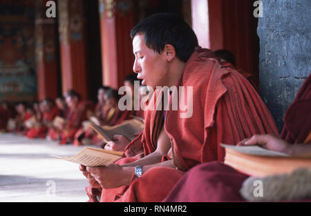 Légende : Rongbatsa, Sichuan, Chine - 19 août 2002. Moines récitant des textes sacrés lors d'après-midi à Tadgi puja Gompa dans l'ancien royaume tibétain du Kham. Banque D'Images