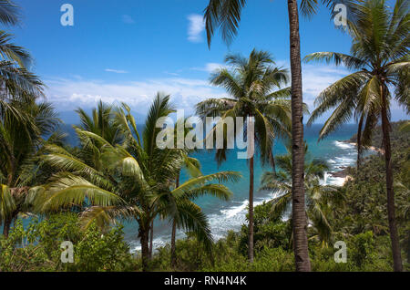 Palmiers et vue sur plage Jungle robuste - Palawan, Philippines Banque D'Images