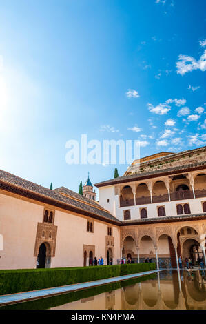Début de la lumière du matin sur le Patio de los Arrayanes, la Cour des Myrtes, à l'Alhambra, un complexe de palais mauresque du 13ème siècle à Grenade, en Espagne. Bui Banque D'Images