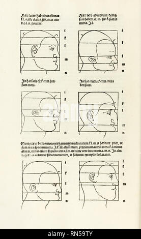 Les proportions de la tête, de 'Hierinn begriffen sind vier bücher von menschlicher Proportion' par Albrecht Durer (1471-1528) un travail au sujet de la proportion du corps humain d'abord publié en 1528. Banque D'Images
