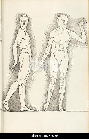 Gravure sur bois de 'Hierinn anatomiques begriffen sind vier bücher von menschlicher Proportion' par Albrecht Durer (1471-1528) un travail au sujet de la proportion du corps humain d'abord publié en 1528. Banque D'Images