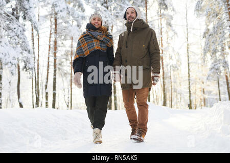 Couple d'amoureux en train de marcher en hiver Banque D'Images