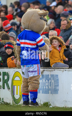 10 février 2019 , Mobile Rocket stadium ; Belle Vue, Wakefield, Angleterre ; Betfred Super League, ronde 2, Wakefield Trinity vs St Helens ; Credit : Craig Milner/News Images Banque D'Images