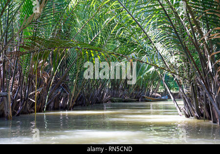 Les plantes vertes avec de grandes feuilles à bord de l'eau du Mékong ou delta au Vietnam Banque D'Images