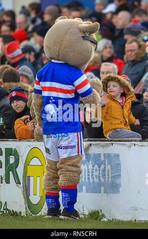 10 février 2019 , Mobile Rocket stadium ; Belle Vue, Wakefield, Angleterre ; Betfred Super League, ronde 2, Wakefield Trinity vs St Helens ; Credit : Craig Milner/News Images Banque D'Images