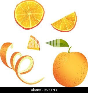 Vector illustration. Jeu de pièces d'orange. Illustration de Vecteur