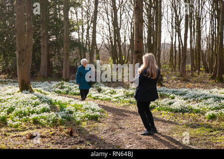 Promenades dans les paysages d'hiver, bois et forêts enneigées et champs verts ; Bretherton, Lancashire, Royaume-Uni.Février 2019.Météo Royaume-Uni.Promenade en forêt ensoleillée l'après-midi.Des expositions de gouttes de neige, qui seraient le premier signe du printemps, ont attiré dimanche des centaines de visiteurs au Bank Hall de Bretherton.Les terrains de Bank Hall sont ouverts au public lorsque les chutes de neige sont ouvertes pour recueillir de l'argent pour sa restauration. Banque D'Images