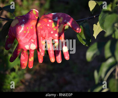 Gants de jardinage femme suspendu à un fil. Le séchage des gants dans le jardin. Banque D'Images