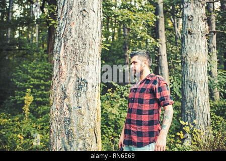 Vue côté guy brutal debout à côté d'arbre. Hipster barbu d'errer dans la forêt. Le camping, le concept de la nature Banque D'Images