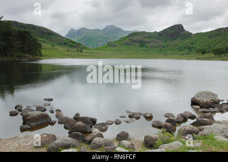 En regardant vers Grand Gable de Blea Tarn, Lake District, Cumbria, Angleterre, Royaume-Uni Banque D'Images