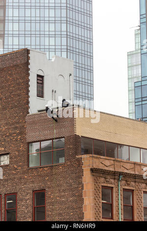 Ingénieur industriel descendre en rappel le long du côté d'un immeuble sur l'inspection des structures, New York City, USA Banque D'Images