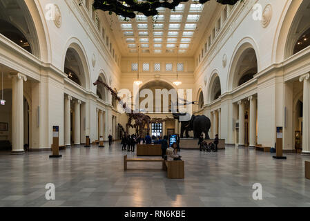 Le champ de Stanley Hall, au Field Museum, Chicago, Illinois, USA. Banque D'Images