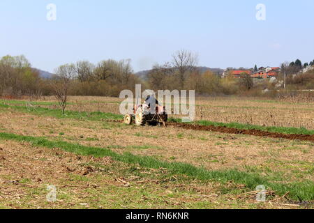 Le champ ouvert avec l'homme sur l'ancien tracteur Labourer au printemps entouré d'herbe non coupée et un champ d'arbres et maisons en arrière-plan de la famille Banque D'Images