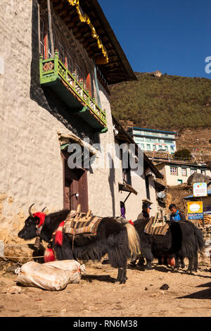 Le Népal, Namche Bazar, l'homme le chargement des yaks décorés avec les faisceaux ci-dessous conçus traditionnellement maison locale Banque D'Images