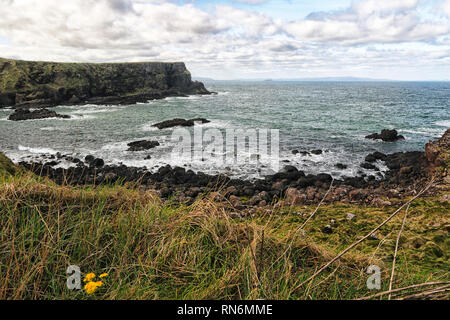 Giant's Causeway park paysage, environnement marin, d'Irlande, Europe Banque D'Images