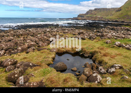 Giant's Causeway park paysage, environnement marin, d'Irlande, Europe Banque D'Images