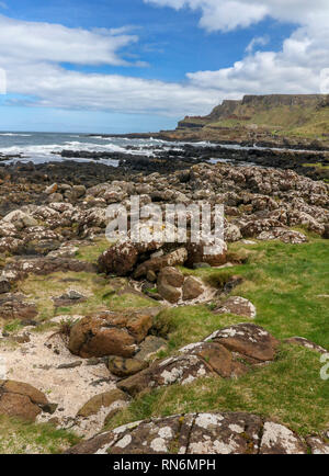 Giant's Causeway park paysage, environnement marin, d'Irlande, Europe Banque D'Images