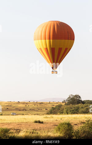 Dans un ballon sur la grande plaine de Masai Mara. Kenya Banque D'Images