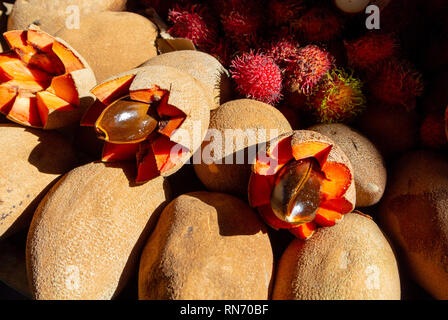 Zapote, fruits tropicaux sur un stand de marché de Tlacolula, Oaxaca, Mexique Banque D'Images